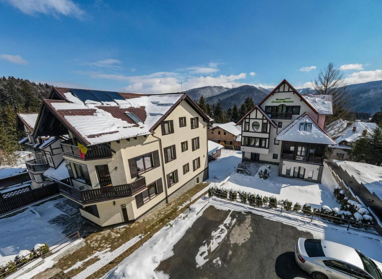 Pensiunea Carmen'S Mansion B Sinaia Ngoại thất bức ảnh