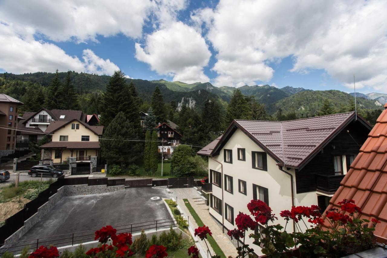 Pensiunea Carmen'S Mansion B Sinaia Ngoại thất bức ảnh